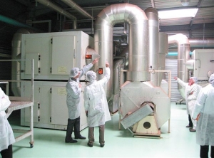 K&auml;lte und K&uuml;hlt&uuml;rme